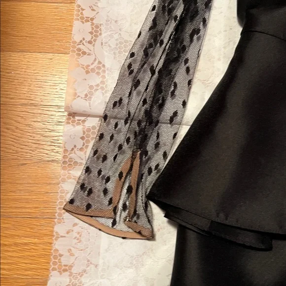 Carmen Marc Valvo Black Dress with Sheer Polka Dot Sleeves - Picture 3 of 6